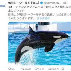 画像 女性飼育員 撮影する人 鴨川 シーワールド 悪質な動画投稿など 受け措置 一部時間 立ち入り制限 発表 まいどなニュース